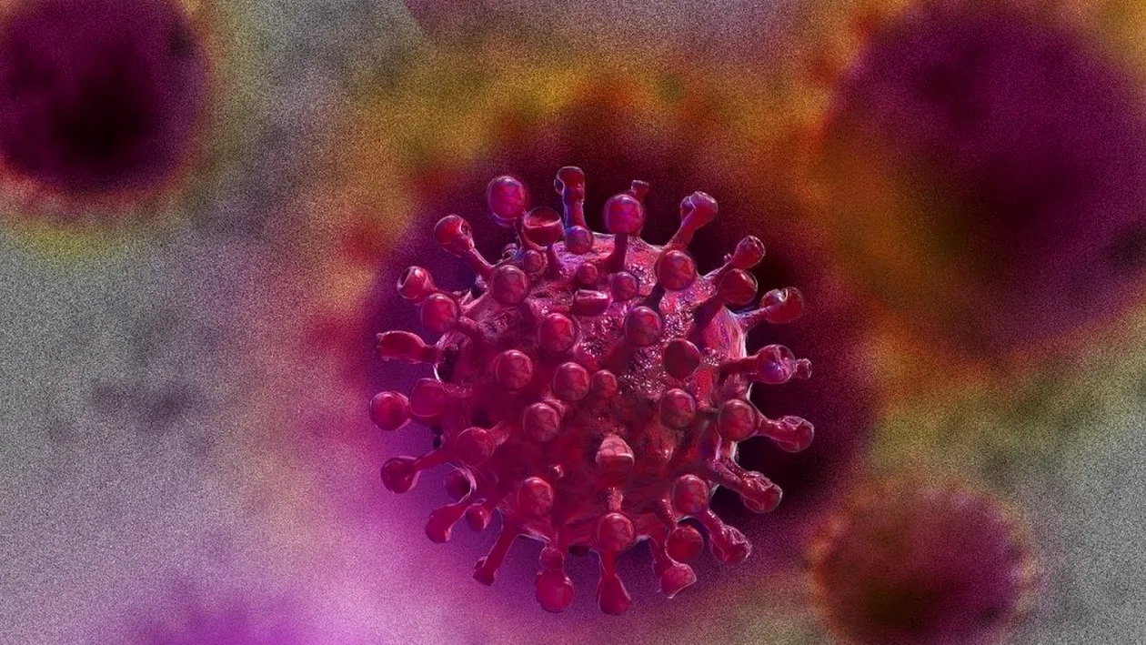 Numărul de persoane infectate cu noul coronavirus în România a ajuns la 11.978. Record la capitolul testare și vindecare