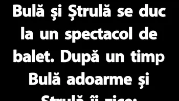 BANC | Bulă și Ștrulă se duc la un spectacol de balet