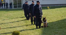 Galerie foto - poza 4