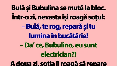 BANC | Bulă și Bubulina se mută la bloc