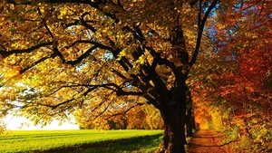 Prognoza meteo 18 septembrie: Temperaturi ridicate pentru această perioadă