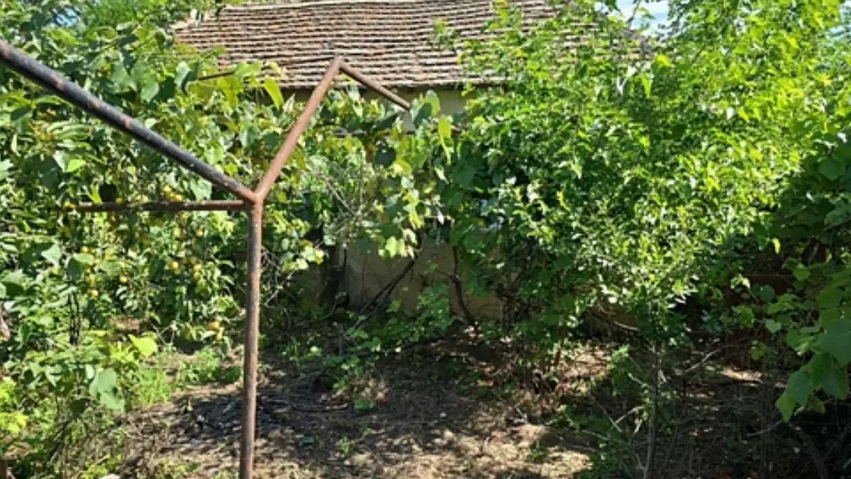 Două case și 1.500 mp de teren, la doar 56.200 de lei! Satul din România unde se vinde proprietatea