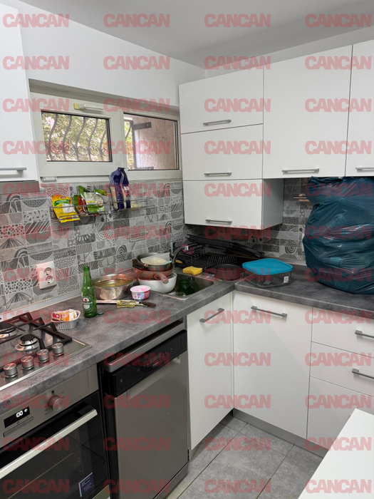 Calina Roman a mai distrus un apartament