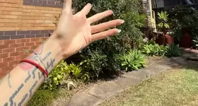 Galerie foto - poza 2