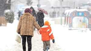 Vortexul polar revine în România. Elena Mateescu, directorul ANM, a anunțat când se întoarce gerul