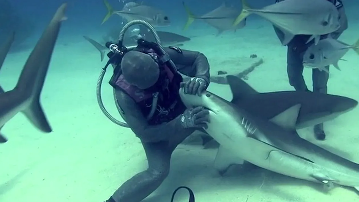 Imagini de INFARCT! Iti sta inima-n loc cand vezi ce poate sa faca aceasta femeie cu rechini. Ai curaj sa dai click?