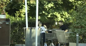 Galerie foto - poza 4