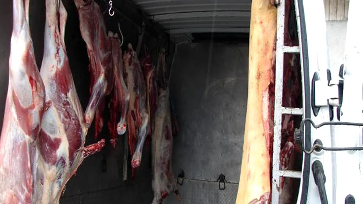 REVOLTATOR Carne de la lesuri de animale, vanduta intr-un magazin din Bucuresti