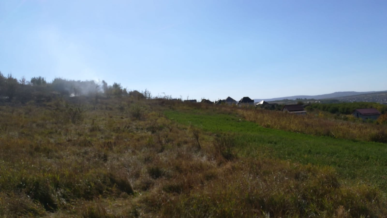 Incendiu puternic la Iași! Este afectată o suprafață de 50 de hectare