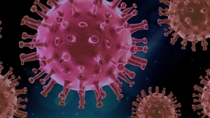 OMS prevede un scenariul sumbru. Locul unde COVID-19 ar putea ucide 190.000 de oameni în doar un an