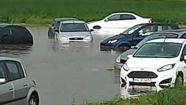 Potop în Prahova. Oamenii au fost evacuați de pompieri. Un bărbat a fost la un pas de electrocutare