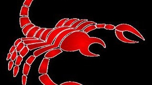 Scorpion 24.10-22.11