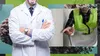 Un om de știință olandez a creat bacterii care pot repara singure clădirile fisurate. Cum reușesc să „umple” crăpăturile
