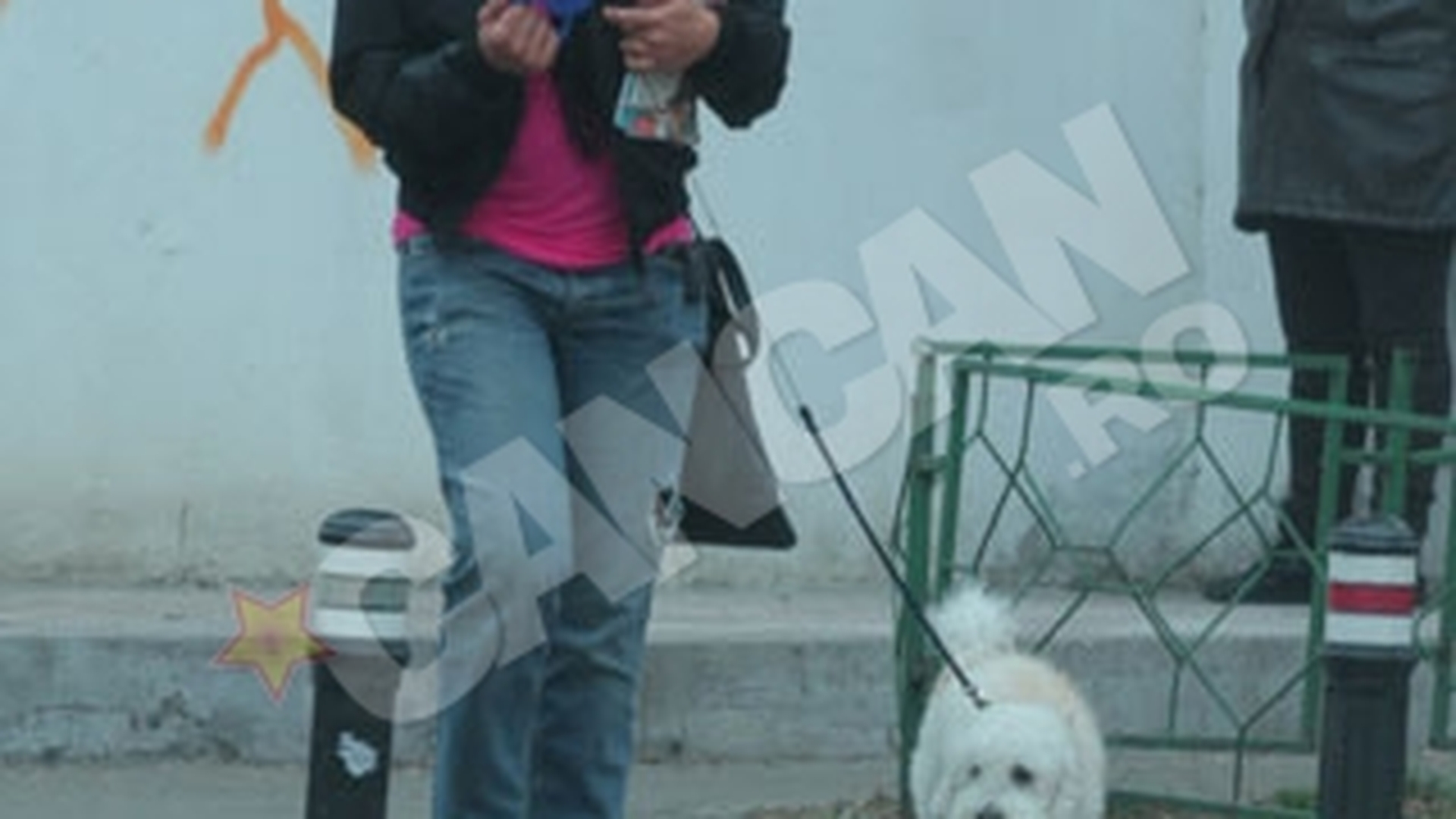 Nadine, o aparitie soc pe strazile din Bucuresti