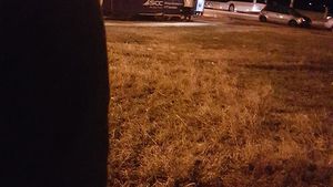 Nesimțire fără margini. Ce a putat să facă un vatman din Iași, chiar de față cu călătorii. “WC-ul era la 30 metri de el!”