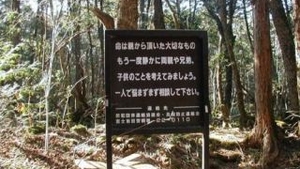 FOTO SOCANT! Aokigahara, "Padurea spanzuratilor" in varianta japoneza