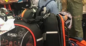 Galerie foto - poza 3