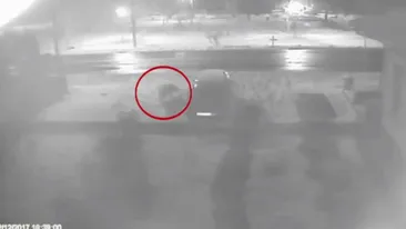 Un urs se plimbă nestingherit pe străzile unei comune din Argeş! Localnicii au intrat în panică