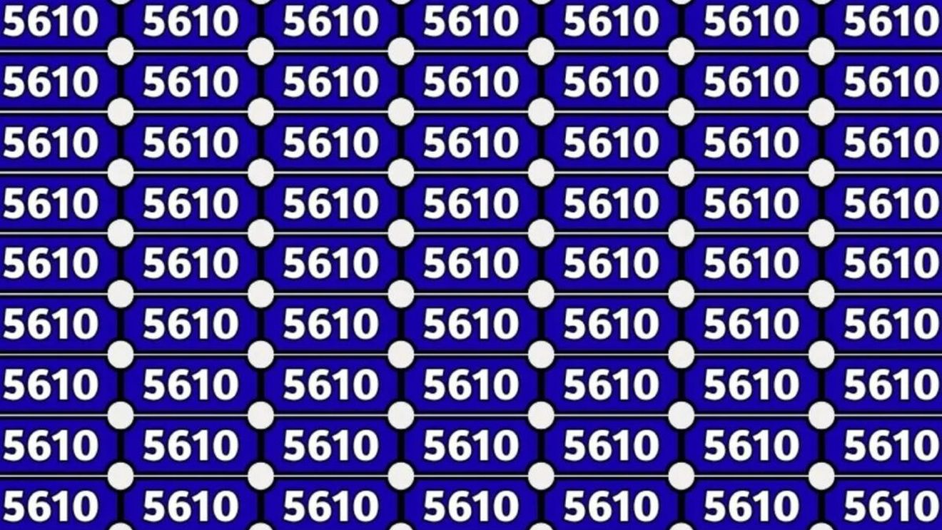 Iluzie optică | Doar cei cu ochi de vultur găsesc numărul diferit din seria de '5610'