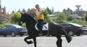 Galerie foto - poza 3