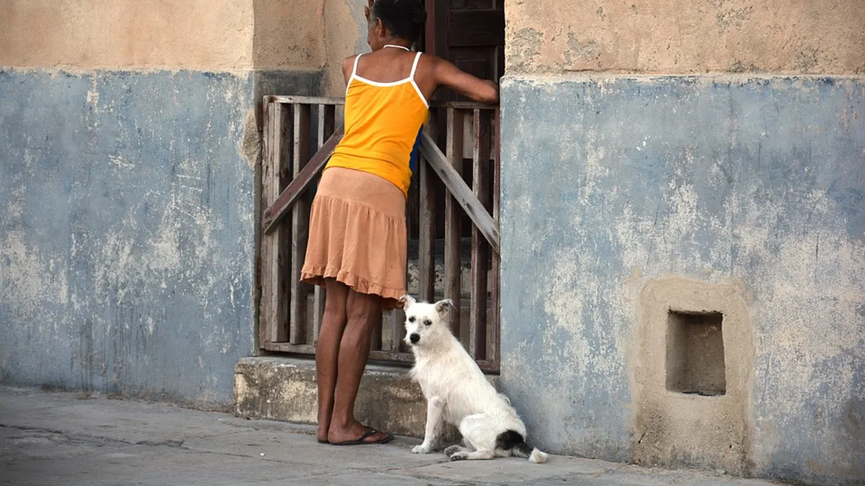 Banc | Ce a ieșit din dialogul a două vecine care-și înșelau soții: ”De la tine au ieșit trei soldați!”