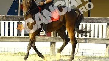 VIDEO Nu il mai joaca pe Codrut Fieraru, dar a ramas cu pasiunea pentru cai! Denis Stefan si-a dat liber la calarit!