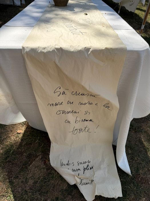 Detaliile neștiute de la botezul micuței Nina. Laura Cosoi: „Fiecare lucru a avut legătură cu tematica pe care am ales-o”