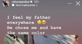 Galerie foto - poza 2