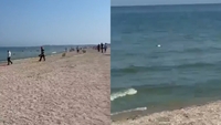 Este alertă pe litoralul românesc! Un fragment de dronă a fost găsit pe plaja Neversea din Constanța