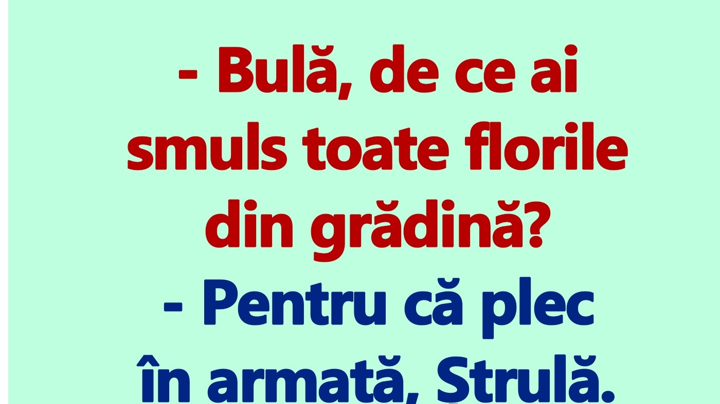 BANC | "Bulă, de ce ai smuls toate florile din grădină?"