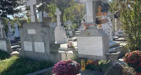 Galerie foto - poza 1