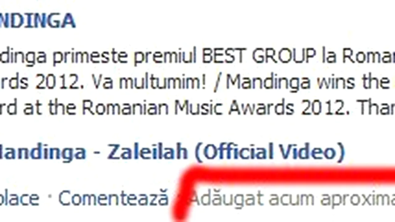 Neintelegeri la Romanian Music Awards! Mandinga se astepta sa castige trofeul Best Group, insa premiul a fost dat altei trupe
