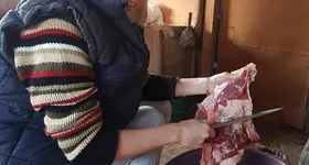 Galerie foto - poza 1