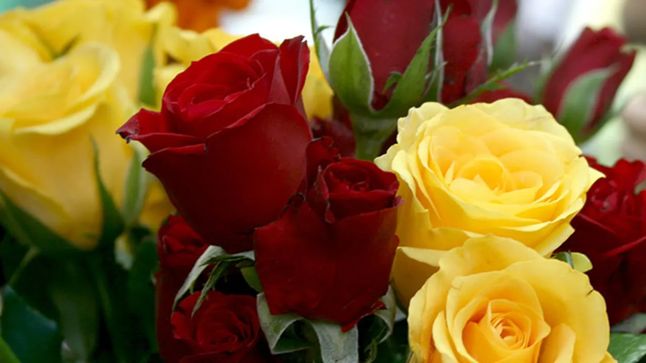 Trimite-le celor mai importante femei din viata ta un mesaj de 8 martie! Ce urari s-ar potrivi