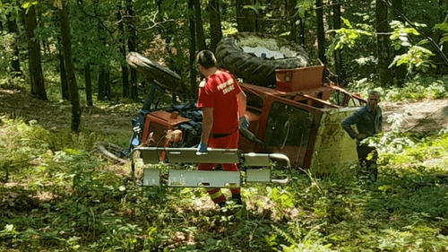 Un bărbat a murit în timp ce tăia un copac în pădure. Cum s-a întâmplat nenorocirea