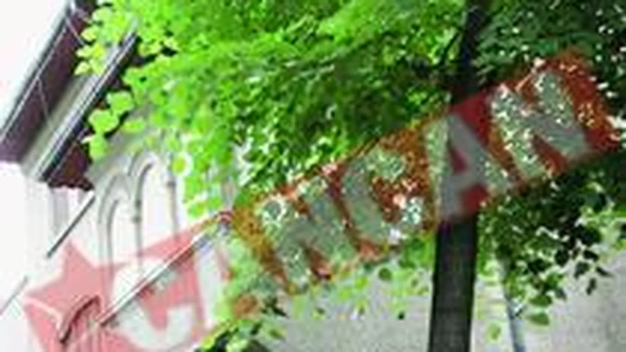 Cristina Topescu, evacuata din casa data de primarie