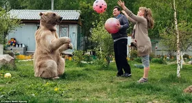 Galerie foto - poza 4