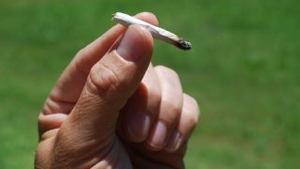 California ar putea deveni primul stat american care legalizeaza consumul si posesia de marijuana