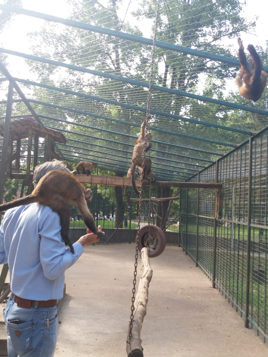 Regim special de caniculă pentru animalele de la zoo