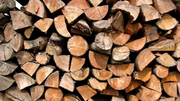 La un pas de moarte din cauza neglijentei parintilor! Copil de sase ani, strivit de o stiva de lemne!