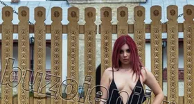 Galerie foto - poza 2