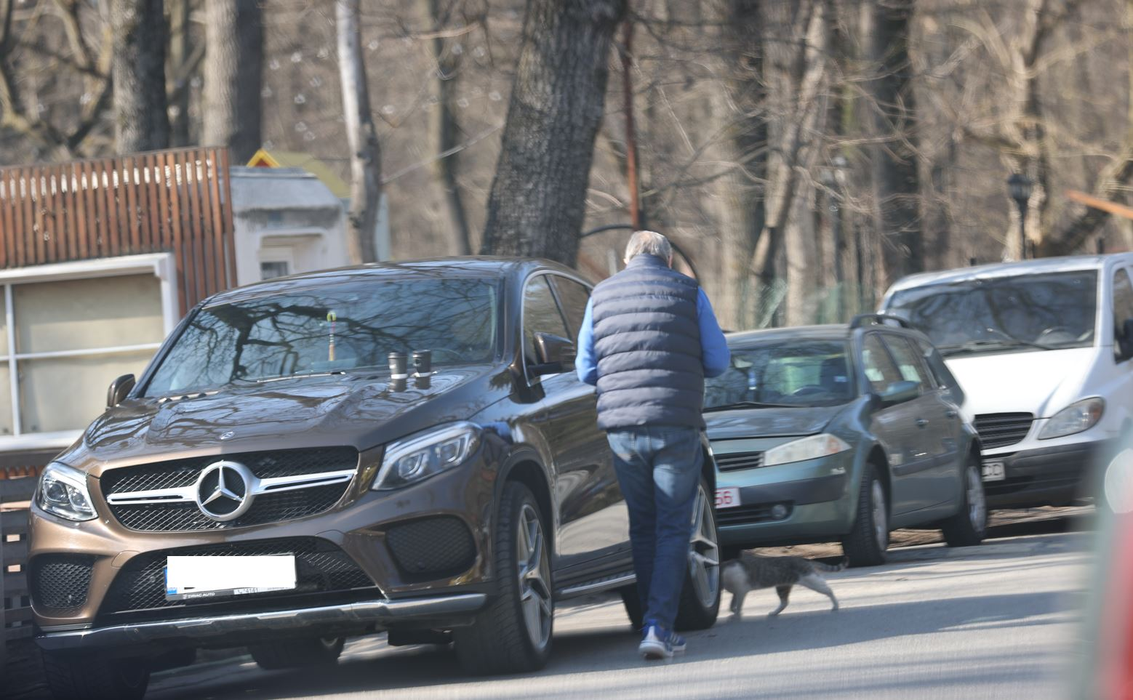 Ilie Năstase, întâmpinat de pisică (Foto: CANCAN.RO)