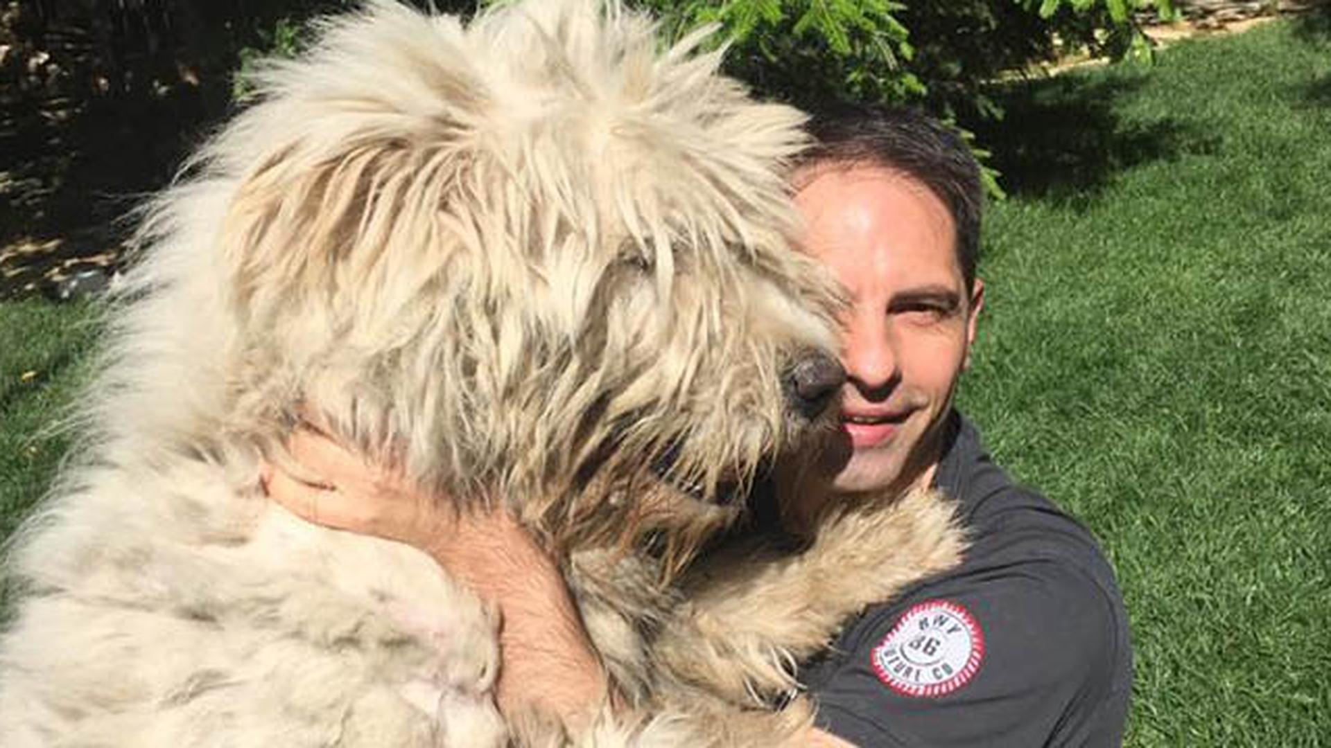 Dan Negru a dat LOVITURA! Ce suma a castigat din pariul facut pe meciul Partizan-Steaua