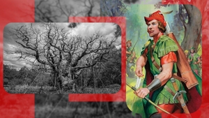 Un simbol al Marii Britanii s-a stins. Copacul în care s-ar fi ascuns Robin Hood s-a uscat de tot, după 12 secole