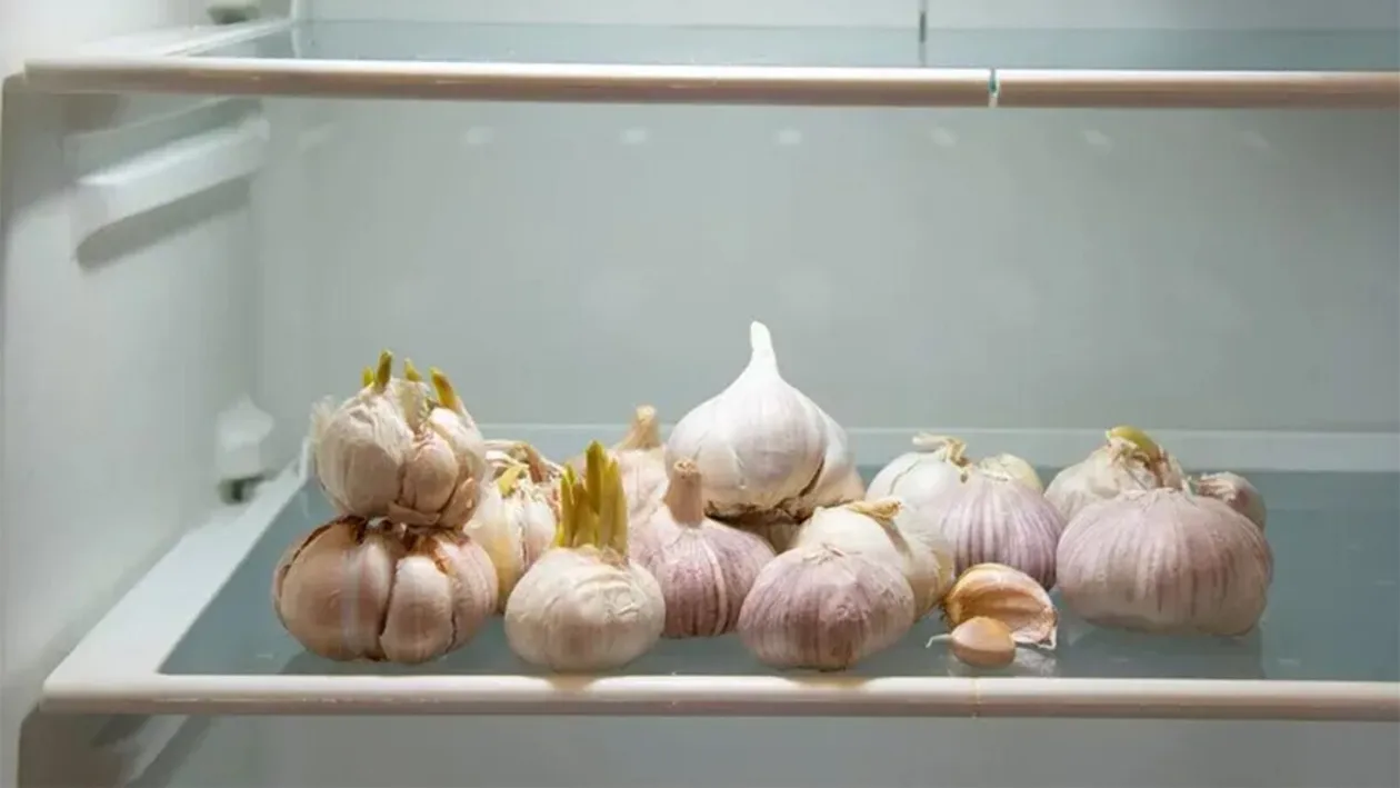 Trebuie sau nu ținut usturoiul în frigider? Puțini români știu acest lucru