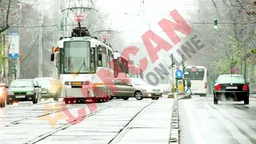 Prima zi de iarna ne-a zapacit!