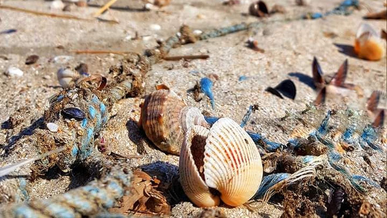 Locul de pe litoralul românesc unde cazarea costă doar 30 de lei pe noapte