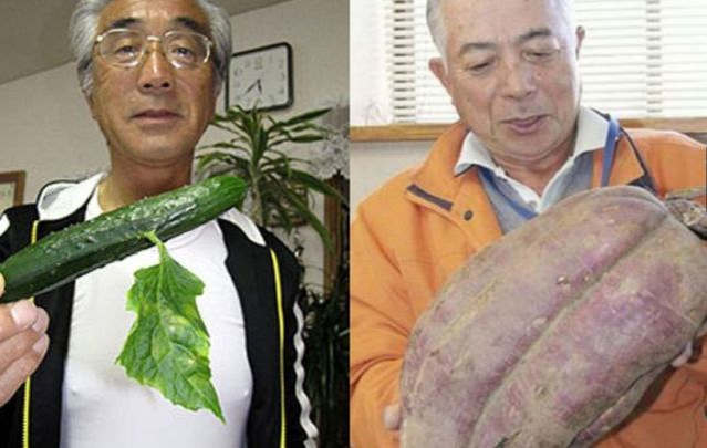 Cele mai CIUDATE flori şi fruncte cresc în Japonia. Ce s-a întâmplat cu natura după explozia de la Fukushima