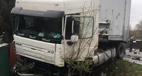 Galerie foto - poza 2