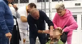 Galerie foto - poza 2